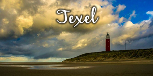 15-Texel